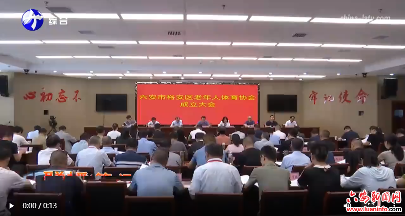 裕安区老年人体育协会成立