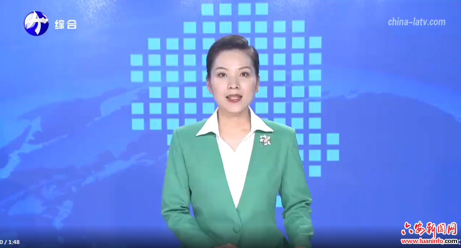 金寨县南溪镇：文艺汇演引领文明新风