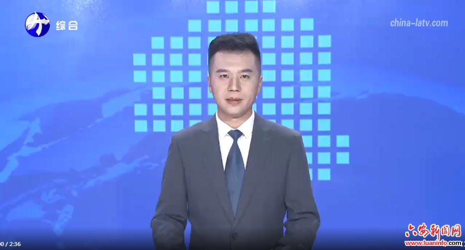 金寨：大病不出县 医保资金如何花在刀刃上