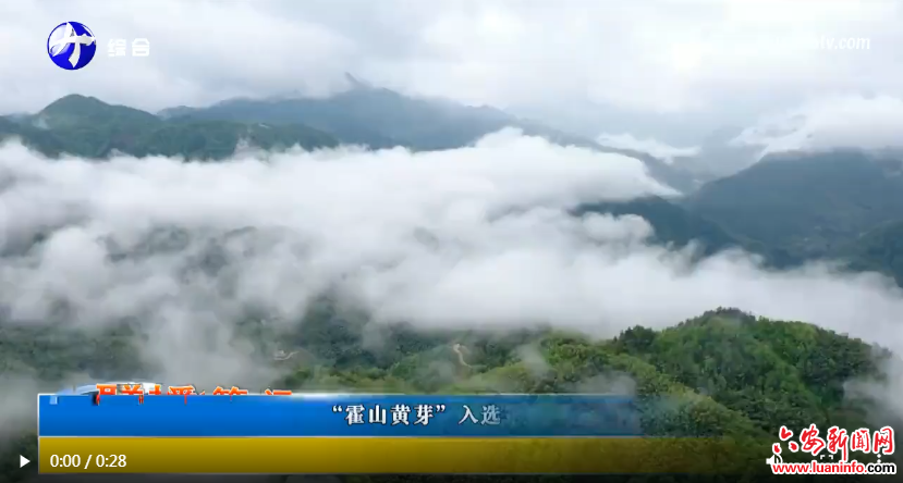 “霍山黄芽”入选第五批安徽省商标保护名录