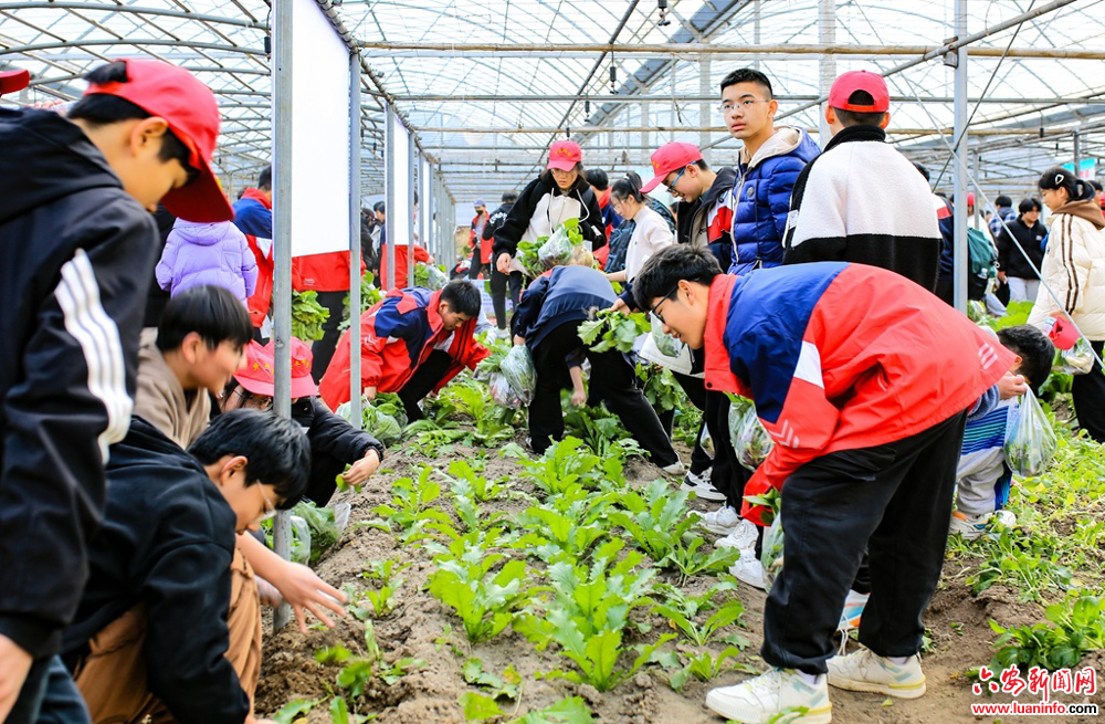 09bef3e3c4904cceaeef76a6381265bd.jpg 09bef3e3c4904cceaeef76a6381265bd.jpg