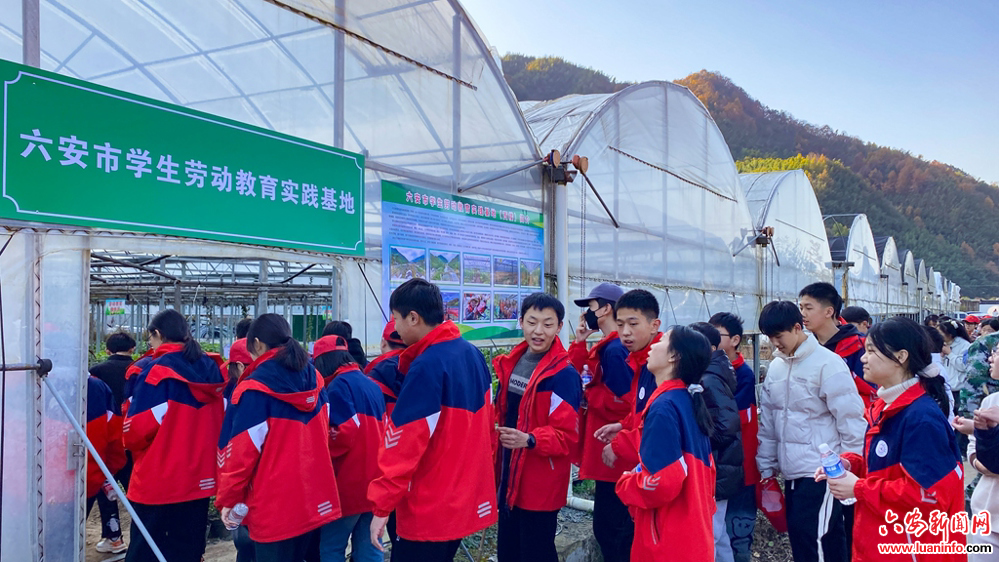 54bb1aec2ed54f8d9a2decffa6b3ecd5.jpg 54bb1aec2ed54f8d9a2decffa6b3ecd5.jpg