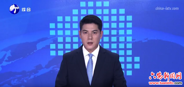 裕安区苏埠镇：三方联动破解无物业小区治理难题