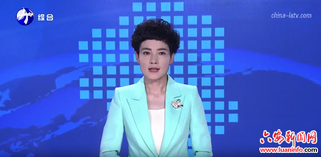 叶集：盘活闲置资源 产业发展助力乡村振兴