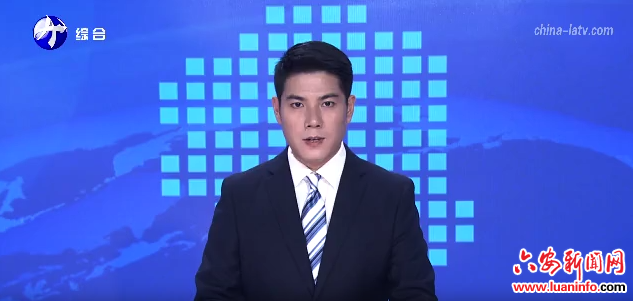 六安：抓产业强发展 推动工业经济平稳向好