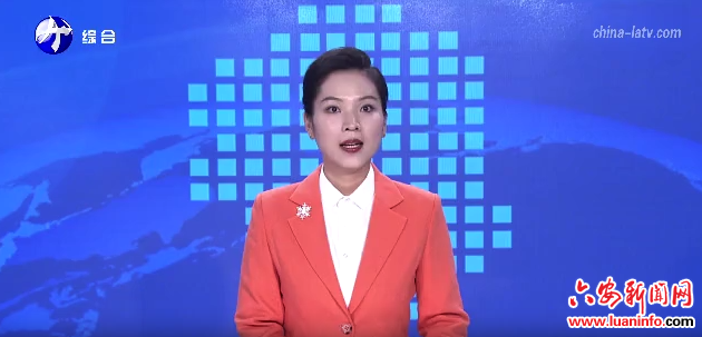 方正在金寨县调研时强调发挥资源优势 提升产业层次 为乡村全面振兴增势赋能