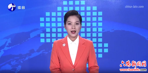 金安 舒城：借合肥都市圈试点启新程