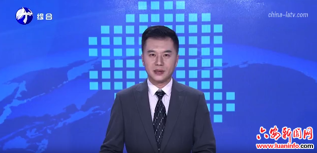 金寨县果子园乡：善用“黄林堂” 治理有良方