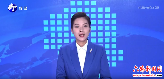 2025乡村振兴基层工作成效宣传展演在金寨县举办