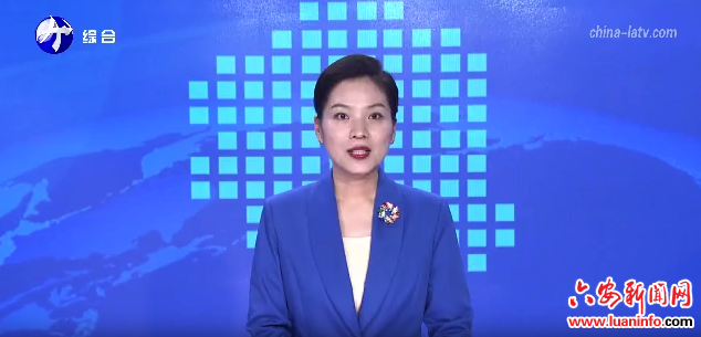 陈家本率队督办市政协重点提案