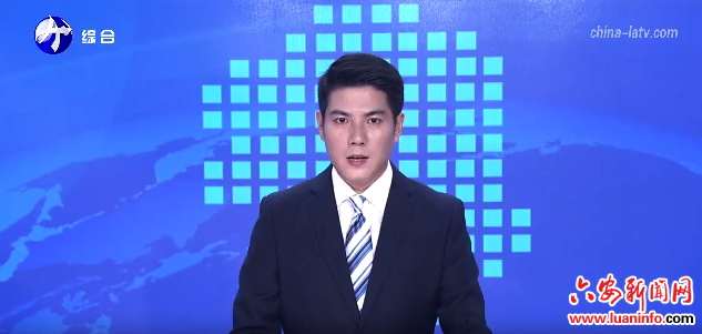 金安：从“集群”到“强群”激活产业发展新动能