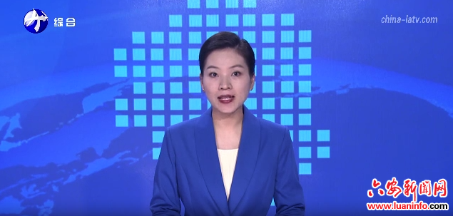 舒城：师徒结对共蓄力 青蓝携手共扬帆