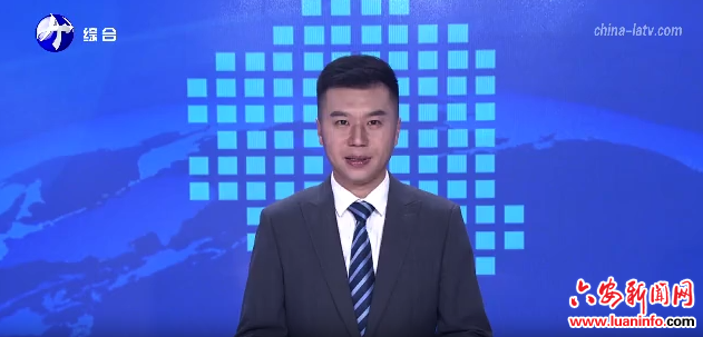 裕安区石婆店镇：以产业为笔 绘乡村新卷