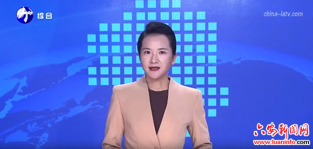 金安区张店镇：产业兴环境美 绘就乡村振兴新画卷