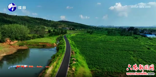  我市农村黑臭水体治理进度居全省前列