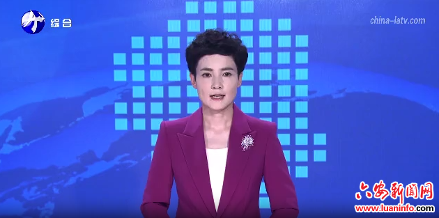 裕安区罗集乡：白鹅 “孵”出致富路