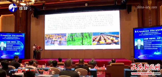 上海—六安科技合作交流系列活动之灵芝全产业链关键技术创新与产业化应用交流会在金寨举行