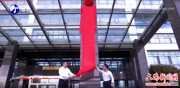 六安市人民医院与叶集区人民医院举行合作共建签约揭牌仪式