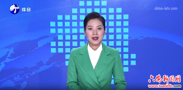  六安：赋能鹅产业 走出经济与乡村振兴双赢之路