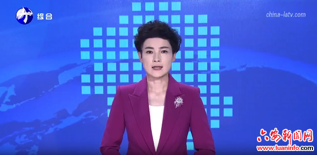 方正在舒城县调研时强调：壮大特色产业 打造全域旅游 为乡村全面振兴增势赋能