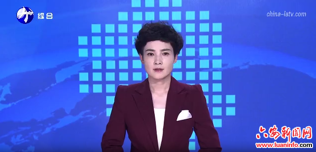 六安市与上市公司 优强企业交流座谈会举行