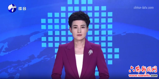 市人大常委会开展“实施千万工程 推动乡村全面振兴”工作情况视察