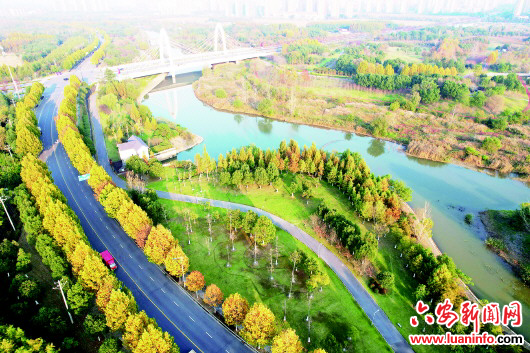 湿地公园 冬景如画