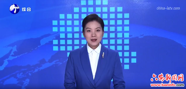  市六届人大常委会举行第二十九次会议