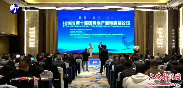 第十届国鸡全产业链高峰论坛在金安开幕