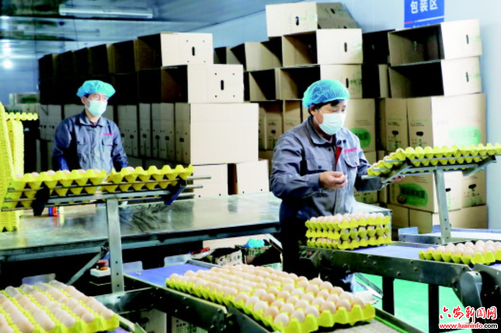 产销两旺　赋能振兴