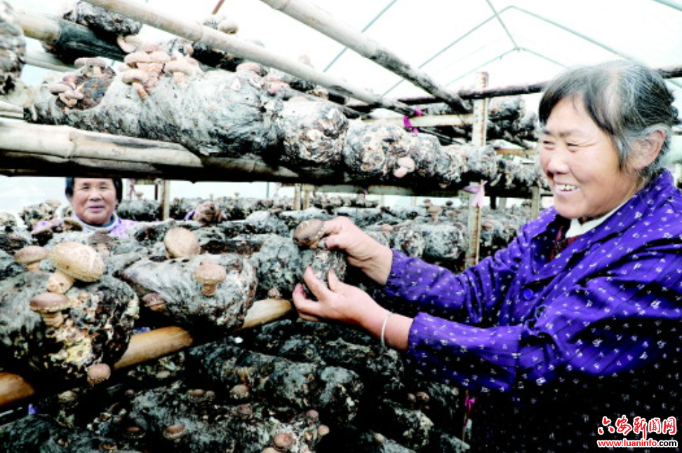 用监督力度提升民生温度