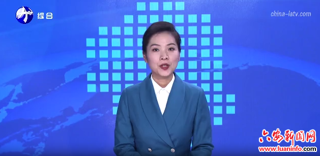 六安：办好民生实事 服务百姓生活