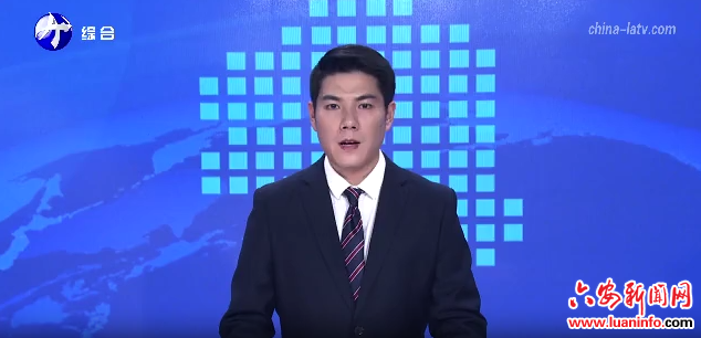 六安：加大创新力度 提升发展质效