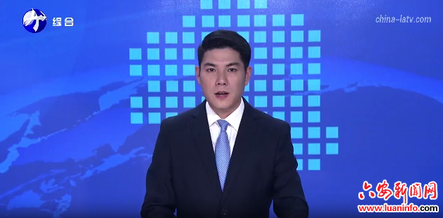  六安市代表团审议省人大常委会工作报告和省“两院”工作报告