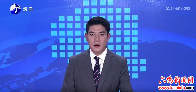 六安2026品牌联盟年货节启幕