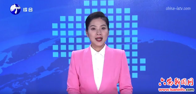 裕安：多措并举 推动招商引资提质提速增效