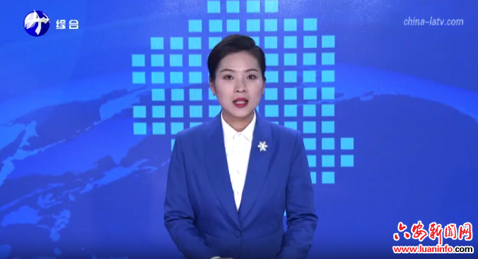 金寨：实干兴工启新程 奋力谱写工业发展新篇章