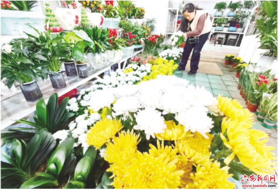 文明祭祀 菊香满城
