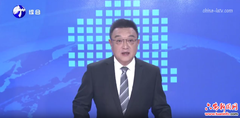 金寨：创优项目快速建成运营服务机制