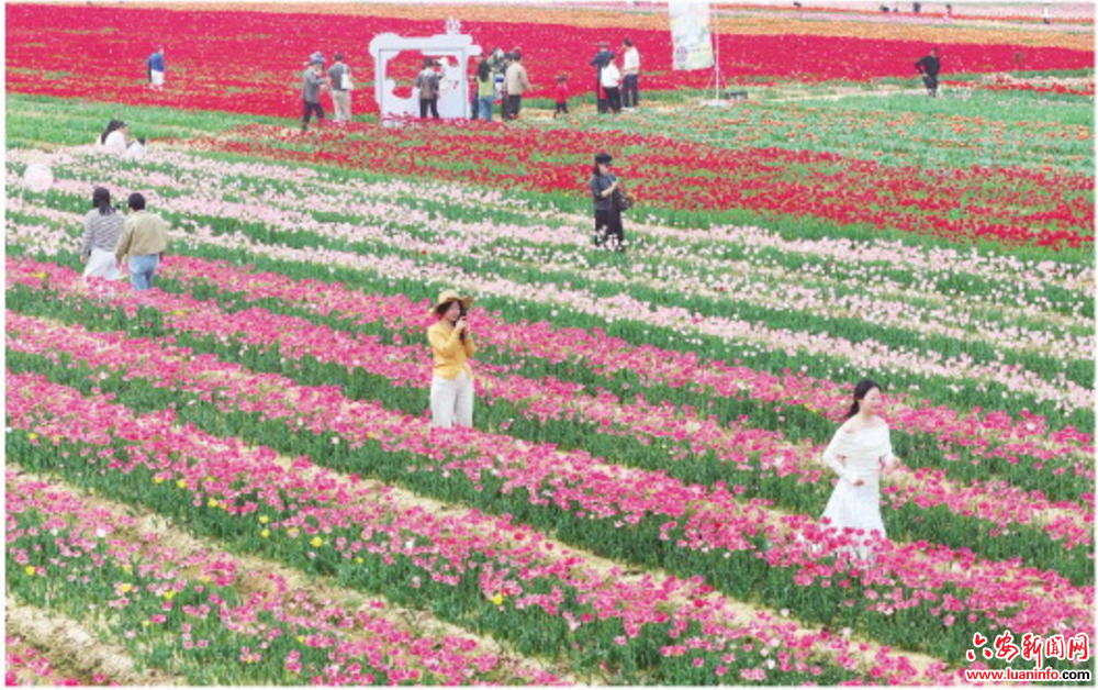 “郁”见最美春光