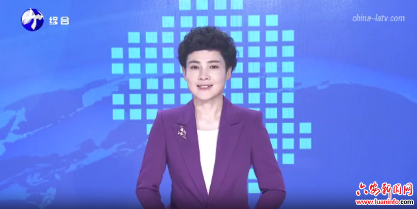 六安：开局向上向好 创新赋能提质