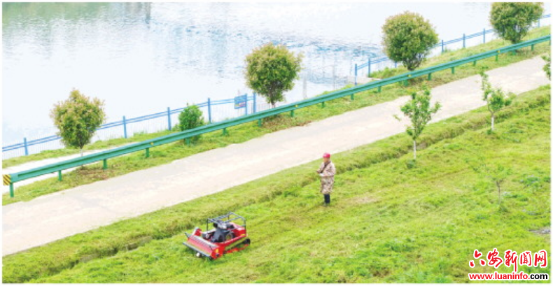 无人割草机“上岗”护渠