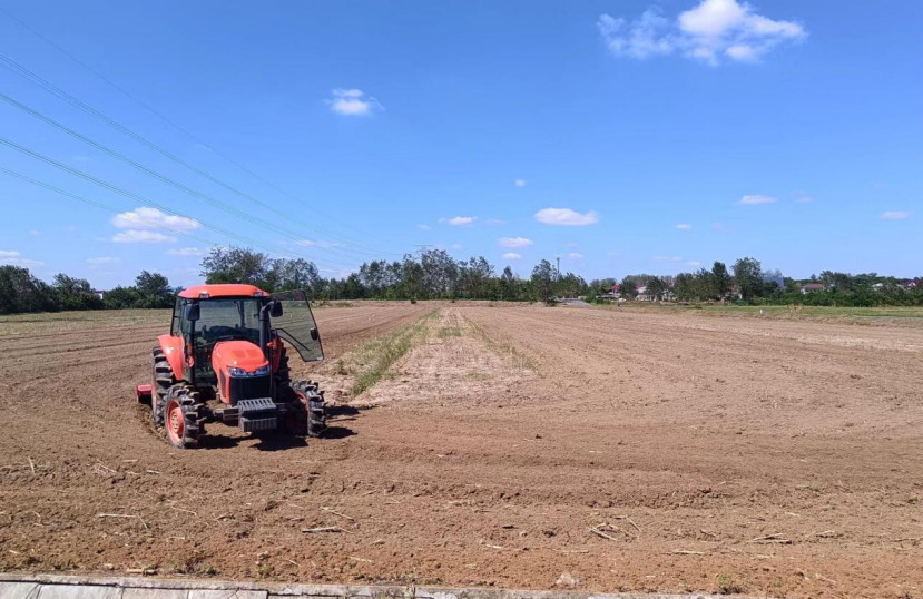 裕安区顺河镇古城村：不误农时备秋种 油菜育苗正当时