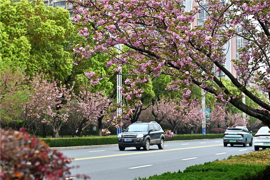 满意度95.5%！全省环境绿化满意率出炉，常州蝉联第一