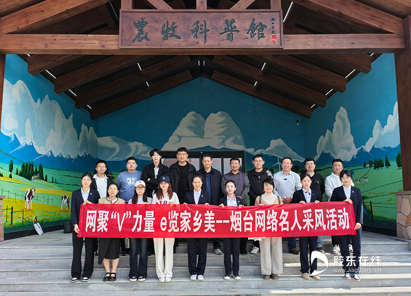 一天只工作16分钟的奶牛？烟台网络名人采风活动走进龙口