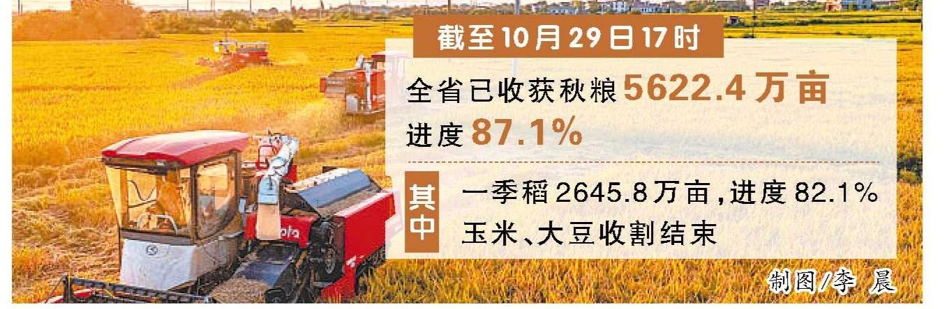 安徽省秋粮收获进度超八成