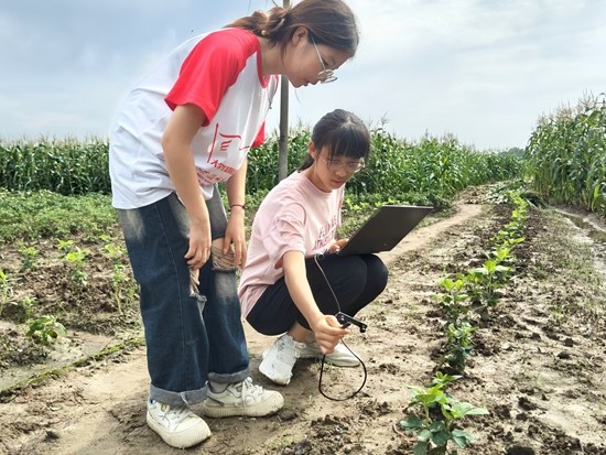 大学生用AI“爆改”田间除草