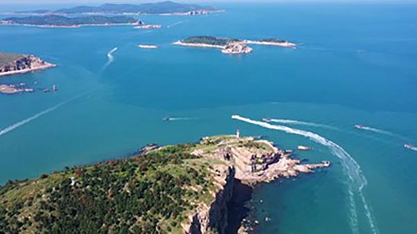 网语烟台：改革路上·亲历者说｜美丽海湾的生态卫士