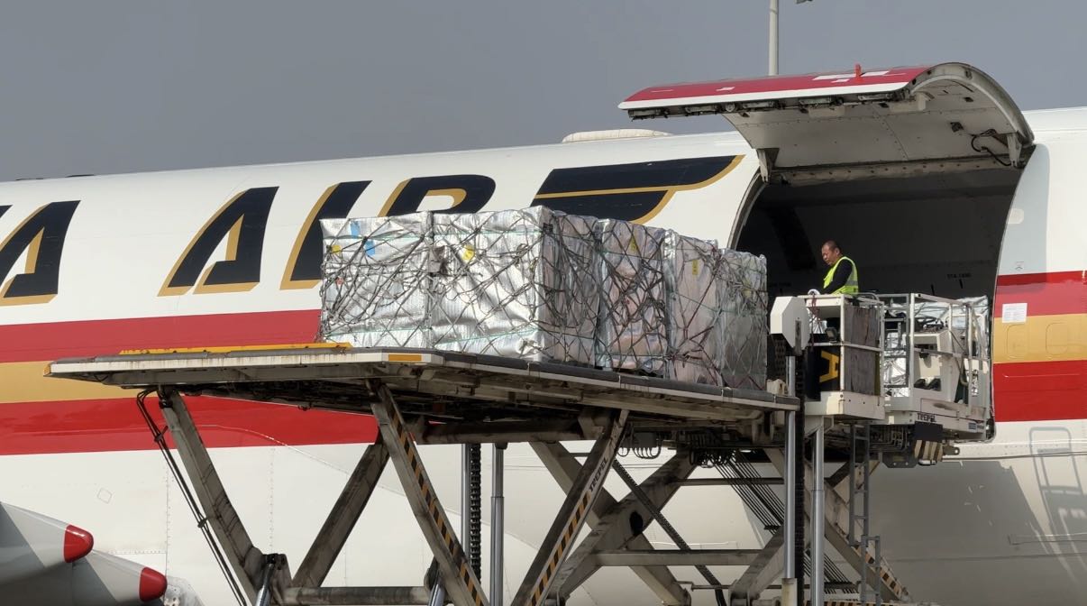 今年首批智利车厘子运抵合肥