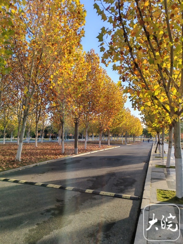 这两天安徽气温可能还会继续下降